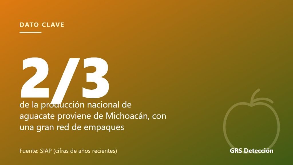 Dato clave: 2/3 de la producción nacional de aguacate proviene de Michoacán, con una gran red de empaques (Fuente: SIAP (cifras de años recientes))