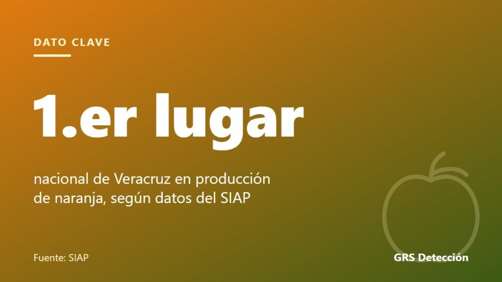Dato clave: 1.er lugar nacional de Veracruz en producción de naranja, según datos del SIAP (Fuente: SIAP)