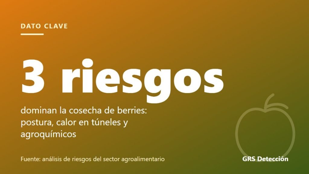 Dato clave: 3 riesgos dominan la cosecha de berries: postura, calor en túneles y agroquímicos (Fuente: análisis de riesgos del sector agroalimentario)