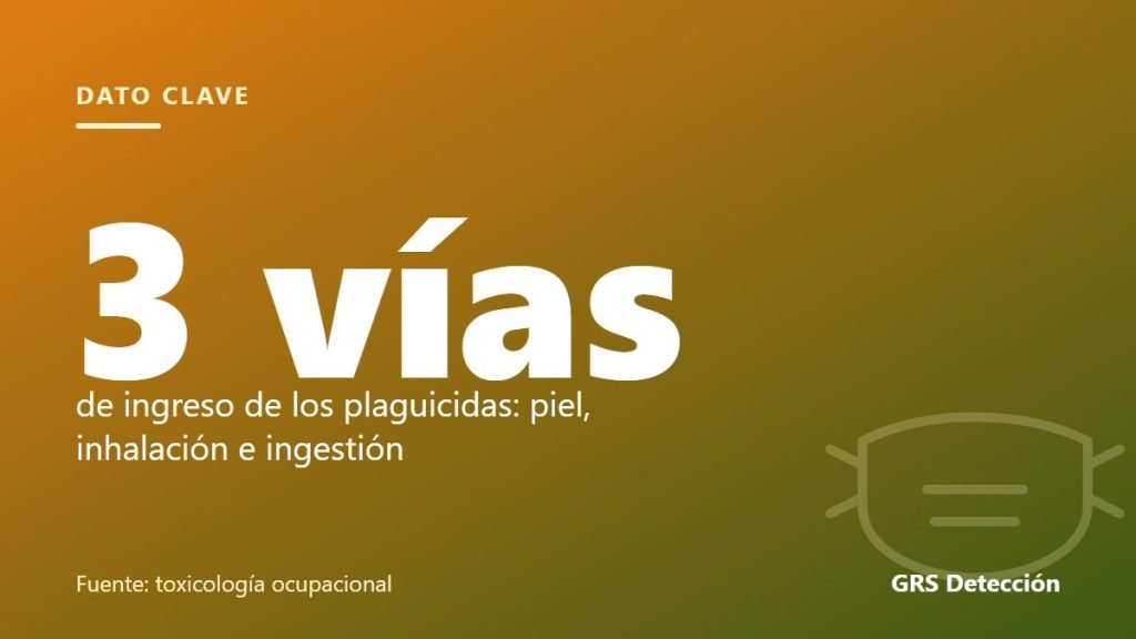 Dato clave: 3 vías de ingreso de los plaguicidas: piel, inhalación e ingestión (Fuente: toxicología ocupacional)