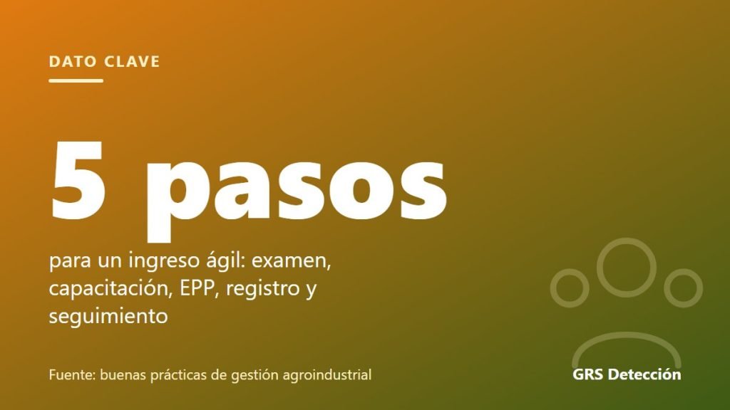 Dato clave: 5 pasos para un ingreso ágil: examen, capacitación, EPP, registro y seguimiento (Fuente: buenas prácticas de gestión agroindustrial)